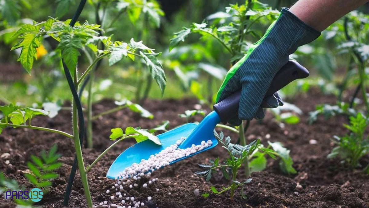 خدمات عمومی محمد