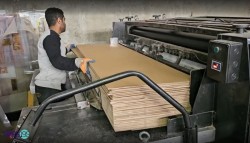 نیروی کار آقا در کارگاه کارتن سازی