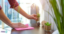 نیروی خانم برای تمیز کاری خونه