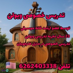 تدريس خصوص ويولن